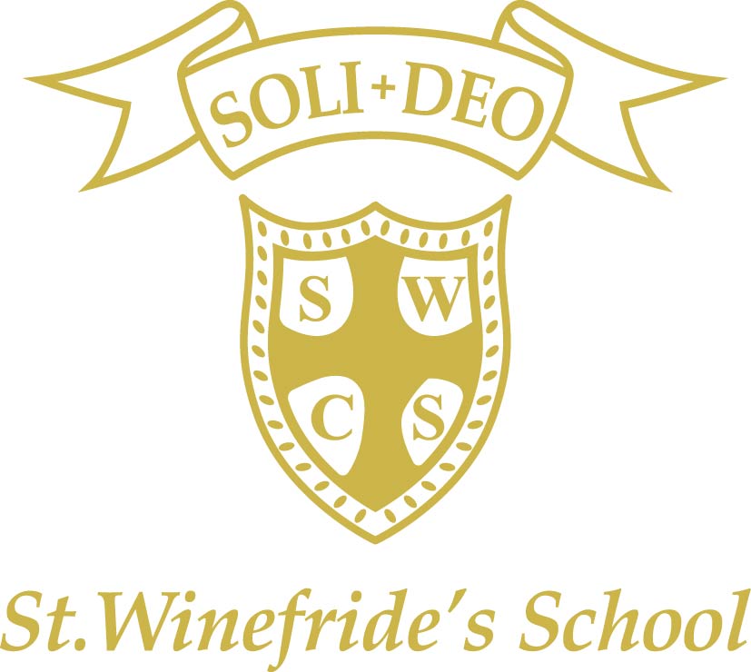 ST WINEFRIDES SCHOOL – Short Brown Socks