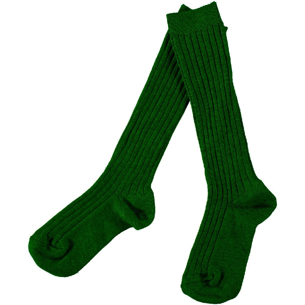 Birchfield - Long socks, bottle green (pk of 2), Birchfield School, General Schoolwear
