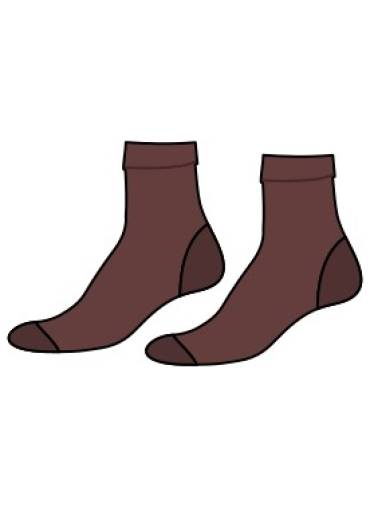 ST WINEFRIDES SCHOOL - Short Brown Socks, St Winefride's