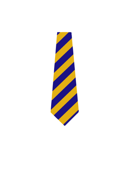 Ysgol Trefnant - YSGOL TREFNANT TIE, Ysgol Trefnant