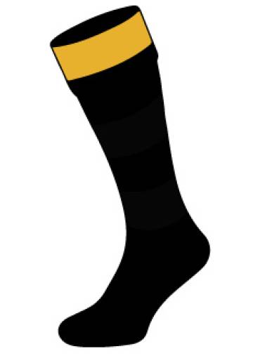 ST WINEFRIDES SCHOOL - St Winefride's Sports Socks, St Winefrides