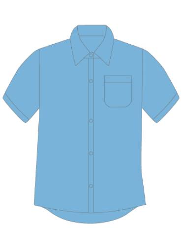 Short sleeved sky blue shirts (2 pack), St Davids College, Denbigh High School, Shrewsbury Cathedral Catholic Primary, General Schoolwear