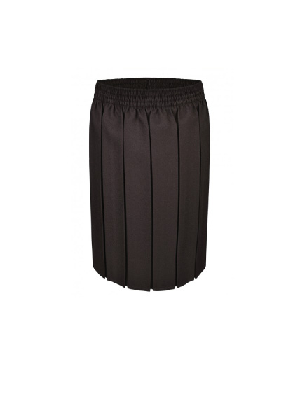 ST WINEFRIDES SCHOOL - St Winefrides School Skirt, St Winefrides