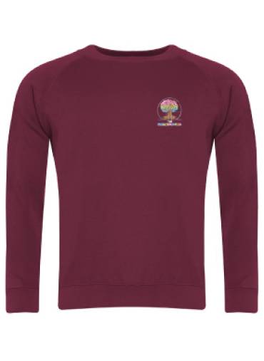 Evolution School - EVOLUTION SCHOOL SWEATSHIRT, The Evolution School