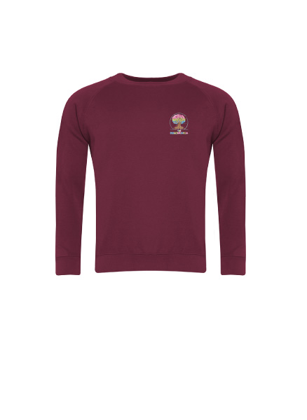 Evolution School - EVOLUTION SCHOOL SWEATSHIRT, The Evolution School
