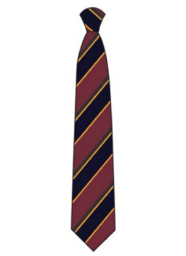 Adams Grammar - Haberdashers' Adams house tie, Haberdashers Adams Yr 7-11, Haberdashers Adams