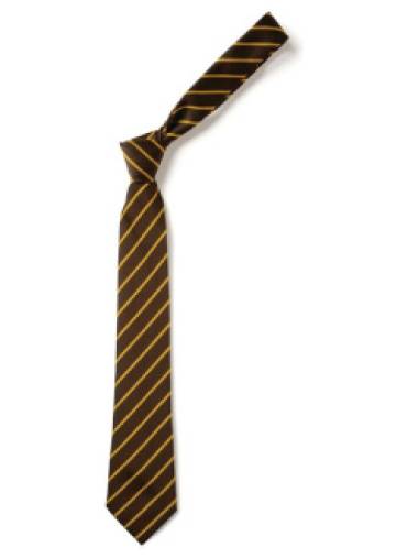 ST WINEFRIDES SCHOOL - St Winefrides School Tie, St Winefrides