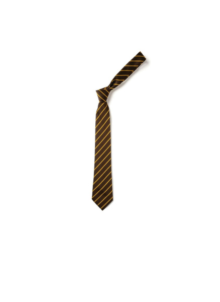 ST WINEFRIDES SCHOOL - St Winefrides School Tie, St Winefrides