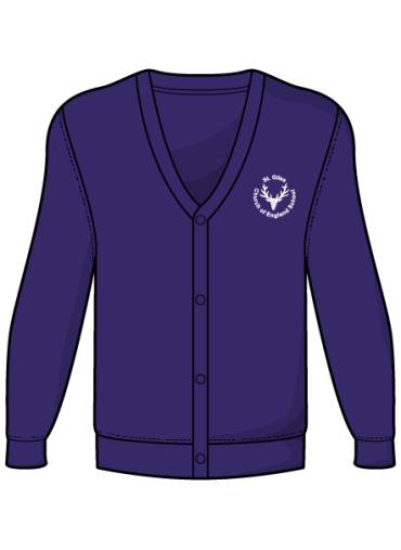 St.Giles Primary School - St Giles Cardigan, St Giles Primary