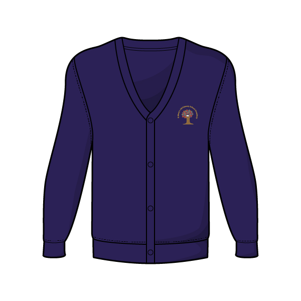 St. Marys - St Marys Cardigan, St Marys Primary