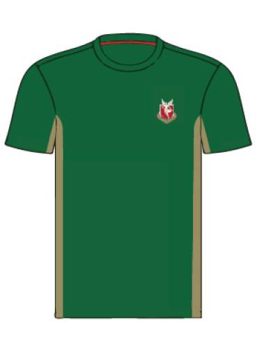 St Michael Abbey School - ST MICHAELS ROUND NECK PE TOP, Schools, St Michael Abbey School