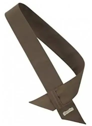 Brownies Sash