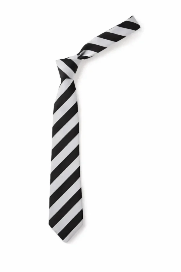 Ysgol Bodfari - Tie