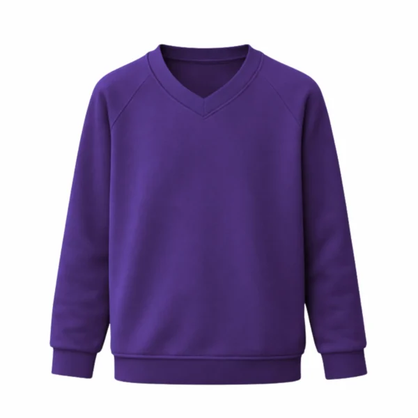 Ellesmere College - Boys V-Neck Jumper