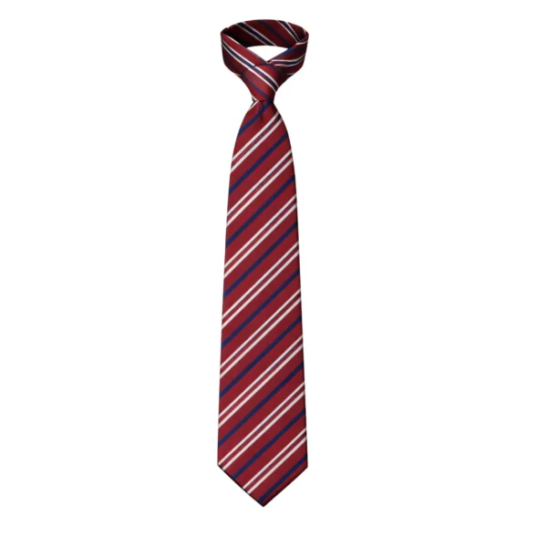 Wrekin Prep - Old Hall Year 6 Tie