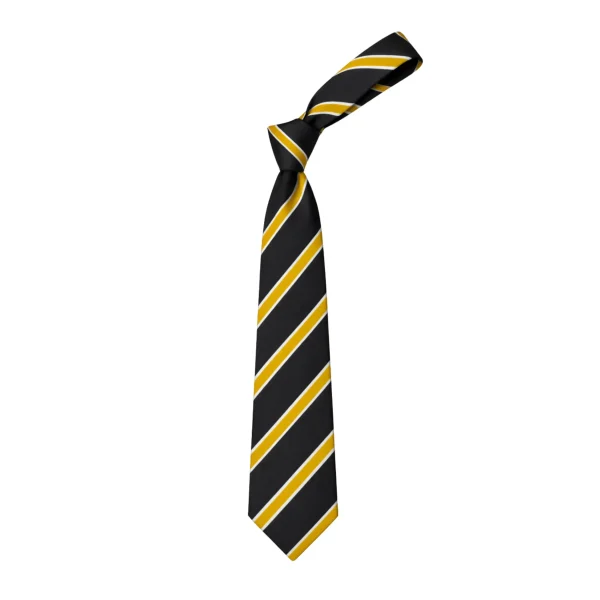 Belvidere - School Tie