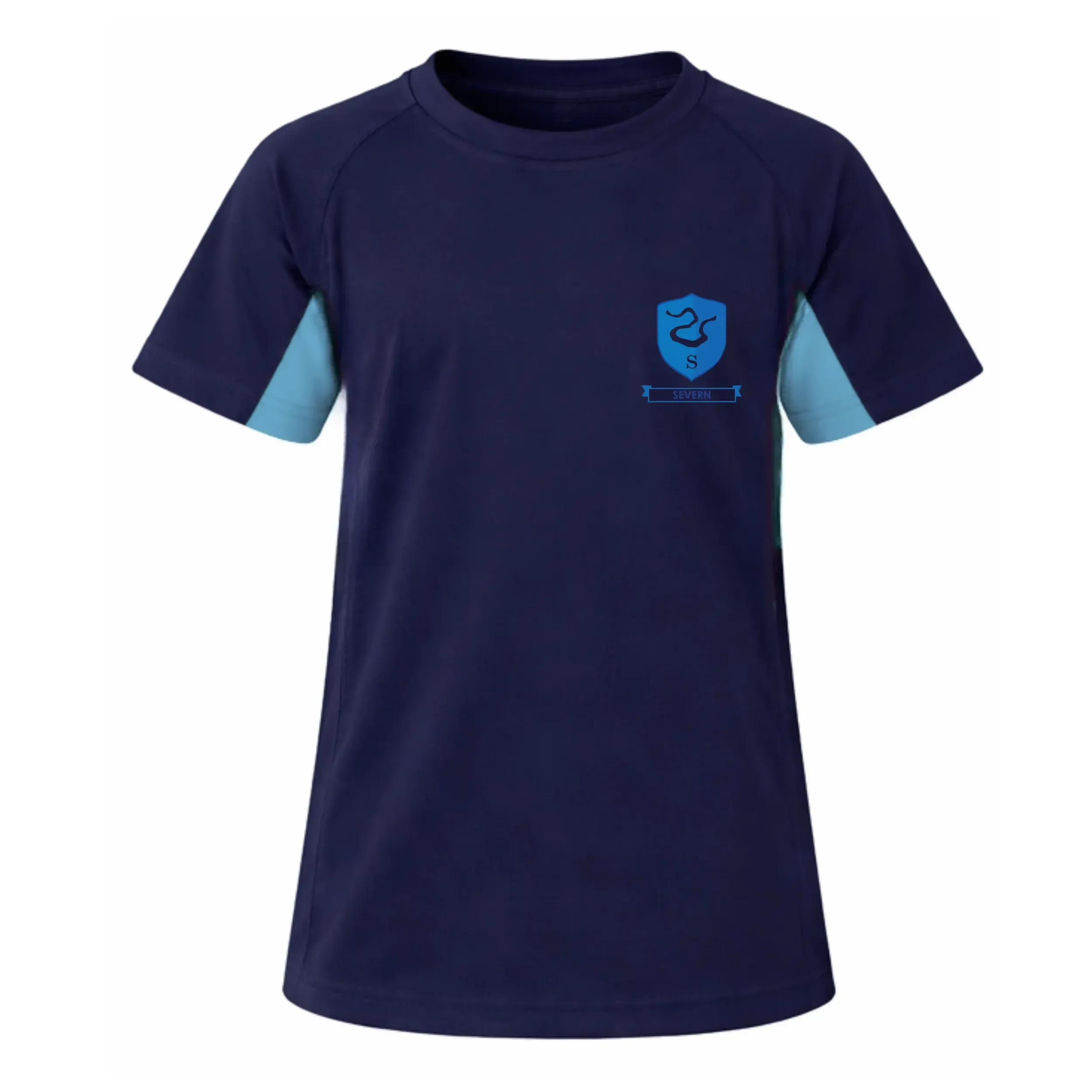 Coleham Primary - House Top