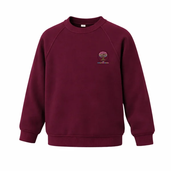 Evolution School - Sweatshirt