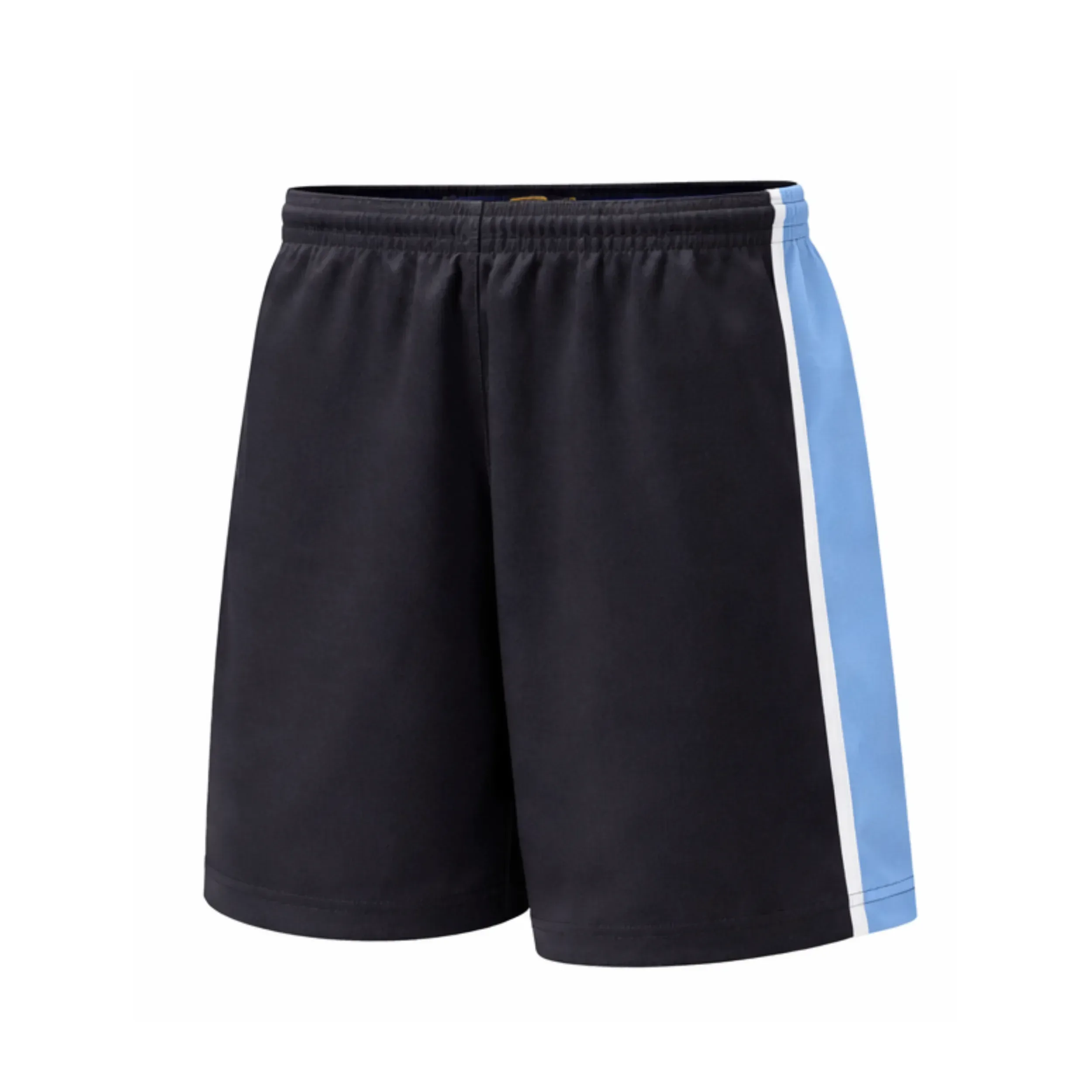 LLANFYLLIN HIGH SCHOOL - Pe Short