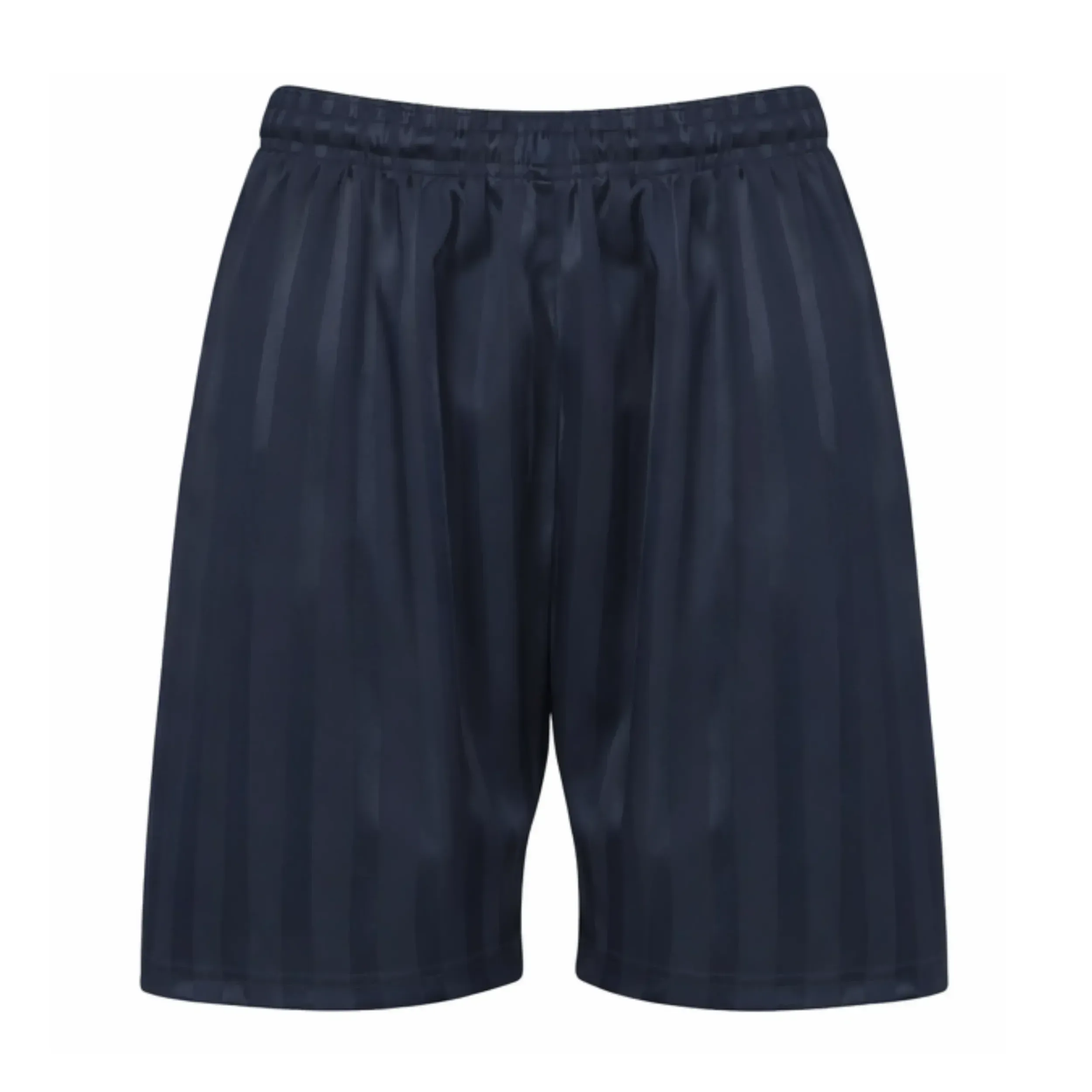 Navy Shadow Stripe Shorts