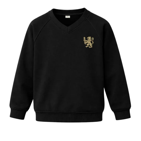 St Davids College - Jumper