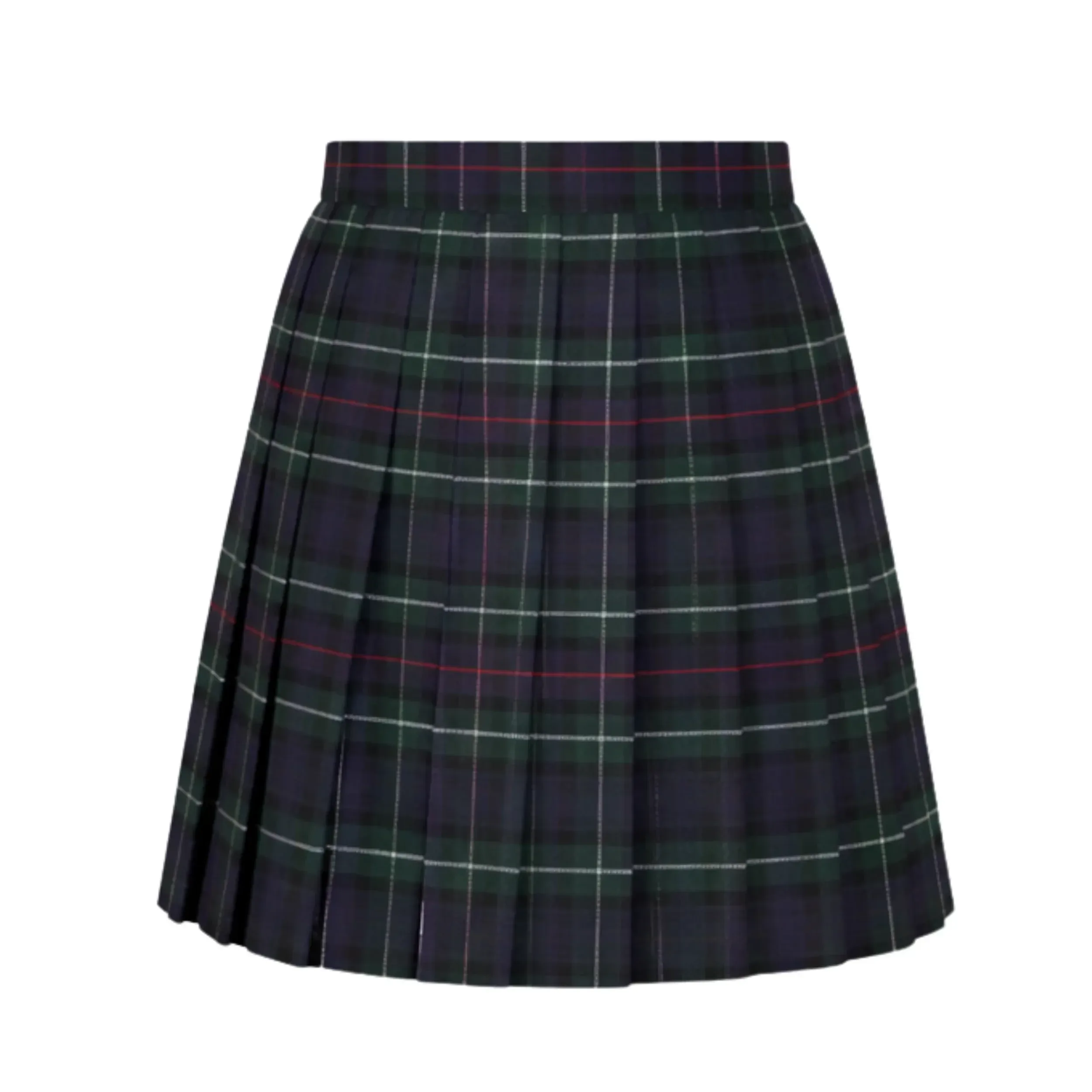 St Michael Abbey School - SKIRT